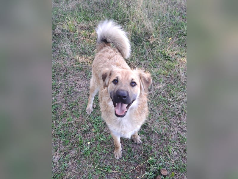 Spike kinderlieber Junger Mann sucht sein Platz