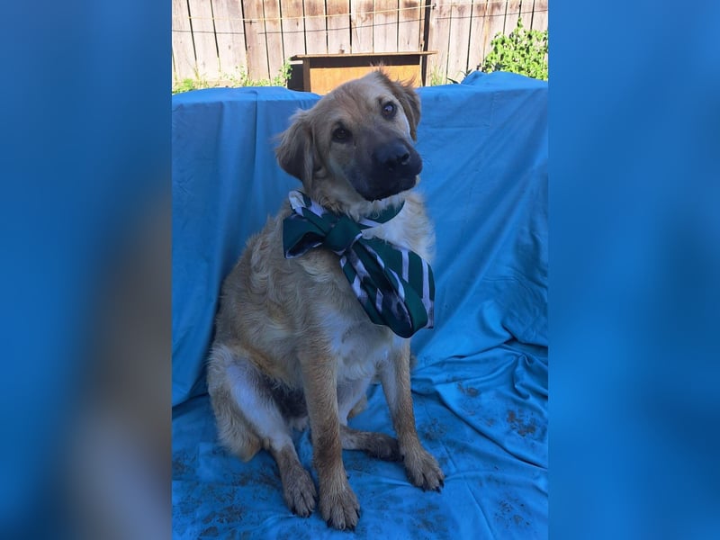 Spike kinderlieber Junger Mann sucht sein Platz