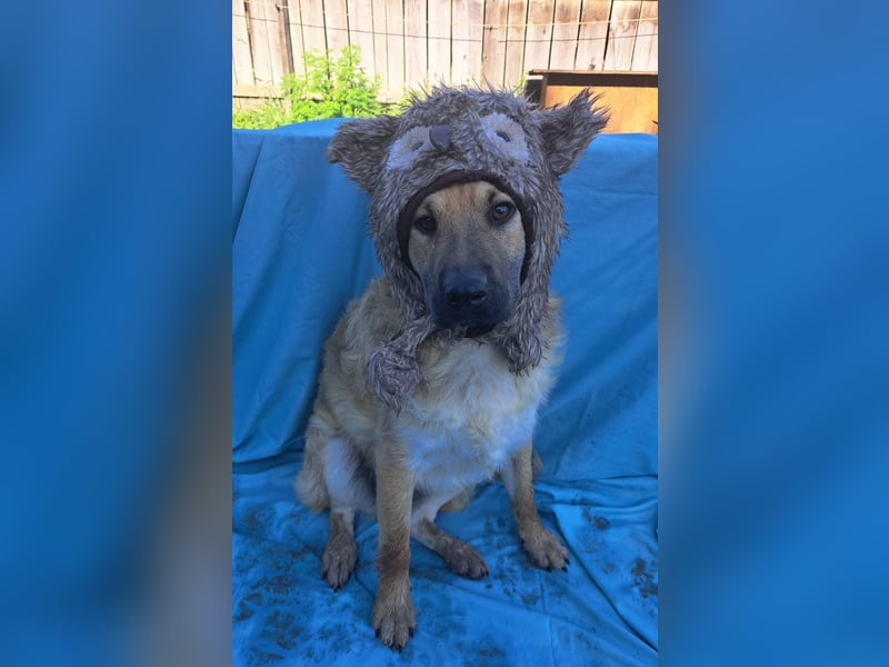 Spike kinderlieber Junger Mann sucht sein Platz