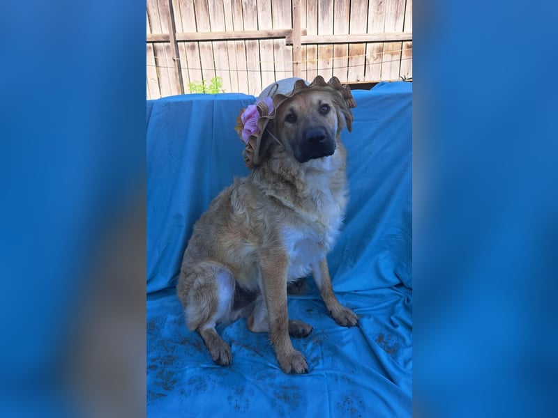 Spike kinderlieber Junger Mann sucht sein Platz
