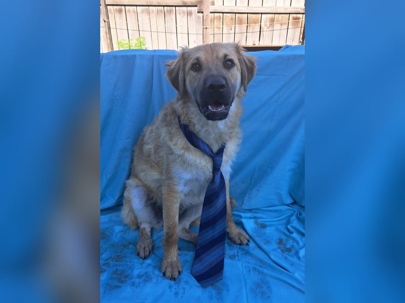 Spike kinderlieber Junger Mann sucht sein Platz