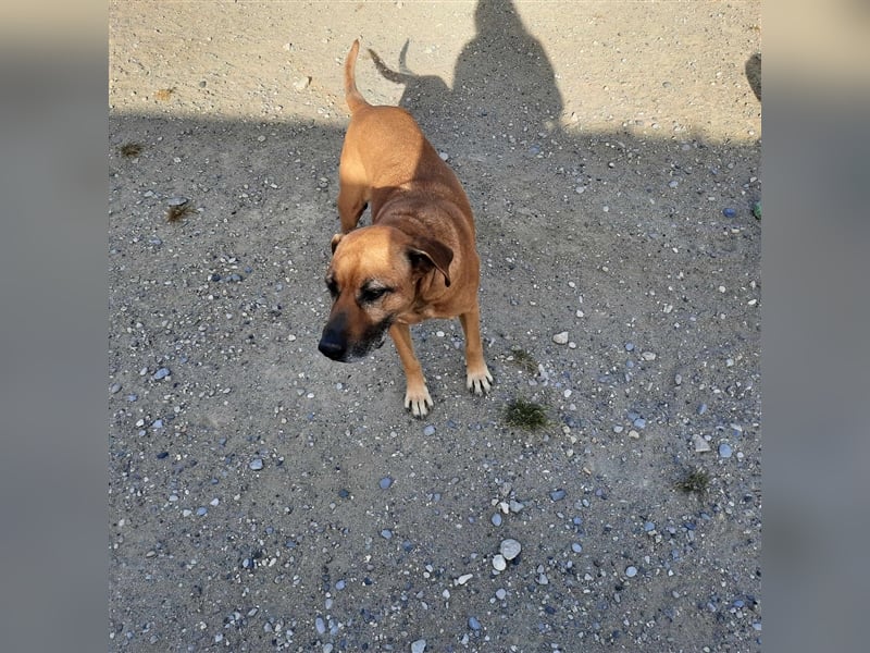Gnadenplatz für Moka gesucht