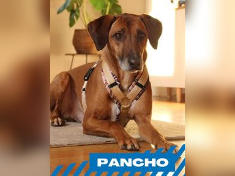 Pancho