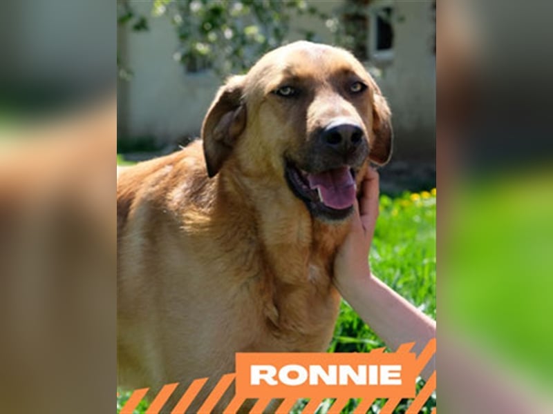 Ronnie