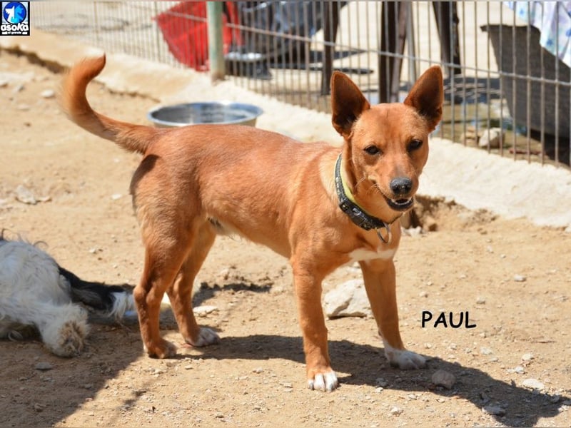 ❤️ PAUL ❤️