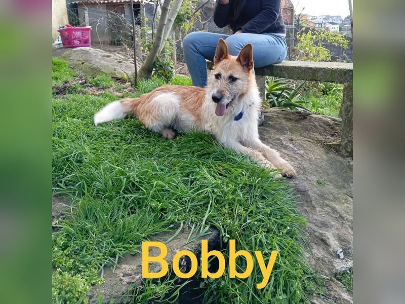 ❤️BOBBY ❤️