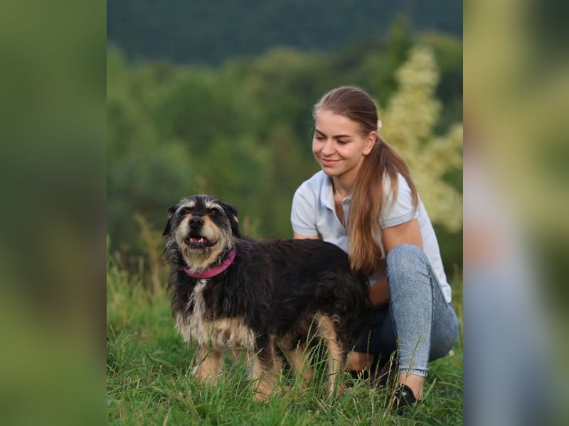 Mateusz sucht Pflegestelle