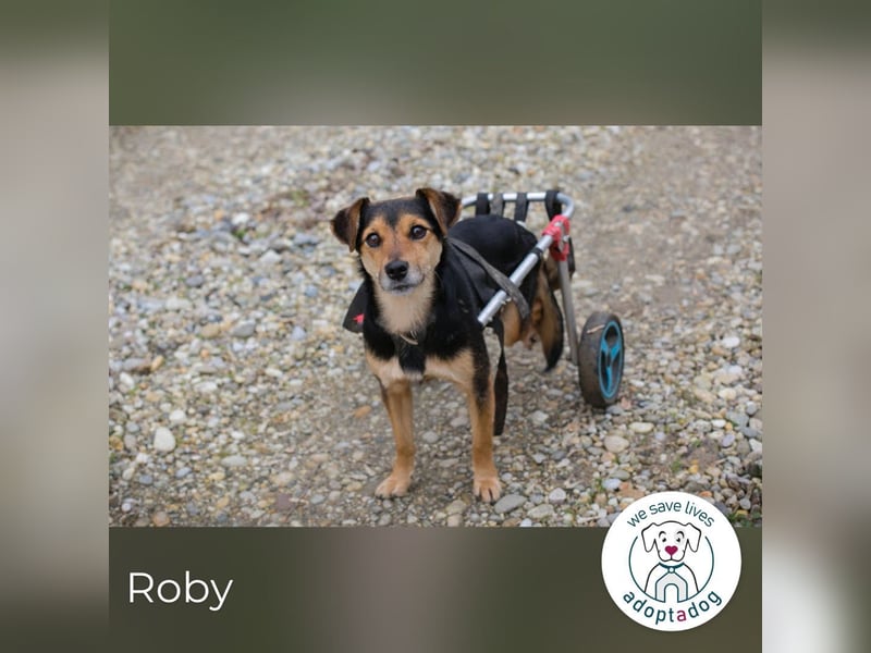 Roby: Einschränkungen? Nein danke!