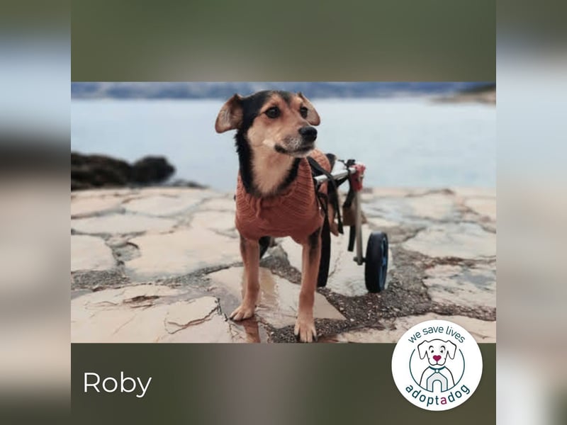 Roby: Einschränkungen? Nein danke!