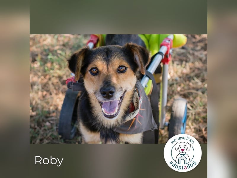 Roby: Einschränkungen? Nein danke!