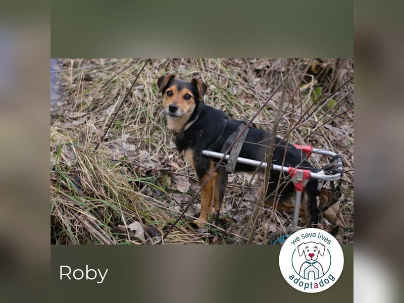 Roby: Einschränkungen? Nein danke!