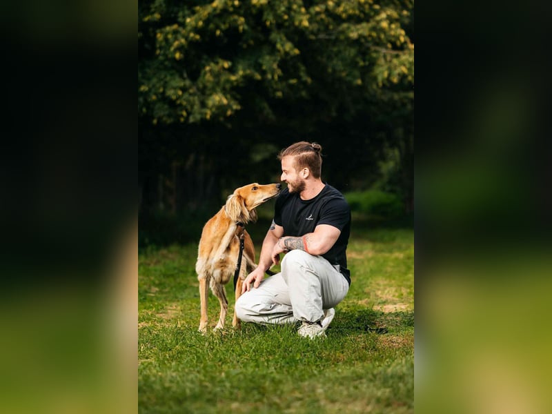 Toller Taymuraz sucht seine Menschen