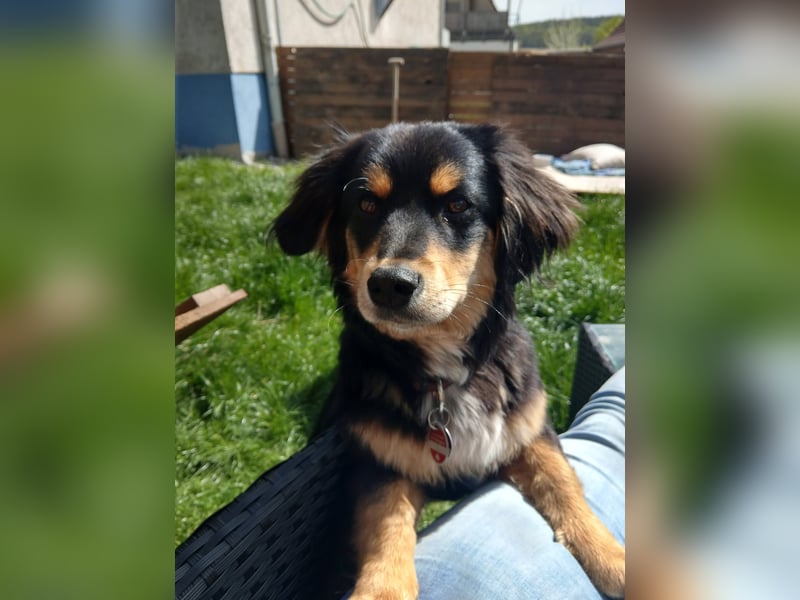 Ayko sucht seine Herzensfamilie....