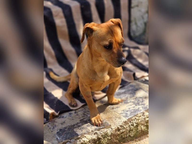 Alepou sucht Traumzuhause!