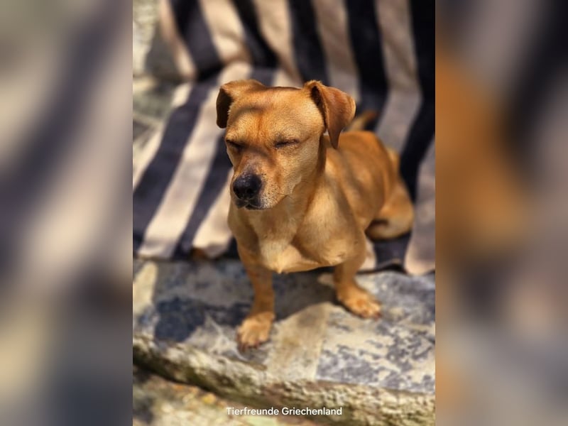 Alepou sucht Traumzuhause!