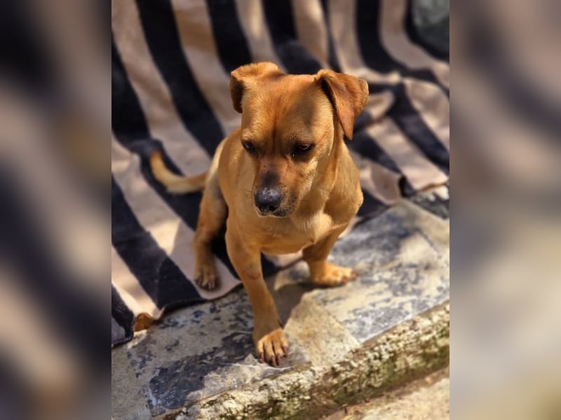 Alepou sucht Traumzuhause!