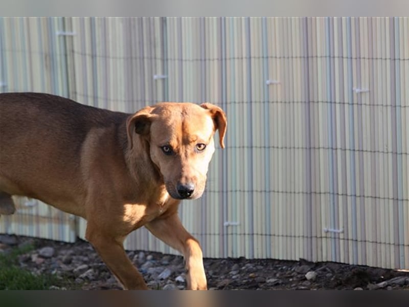 Jungspund Barni sucht eine Bleibe