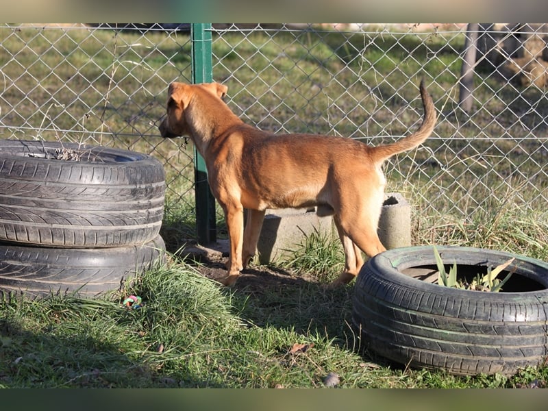 Jungspund Barni sucht eine Bleibe