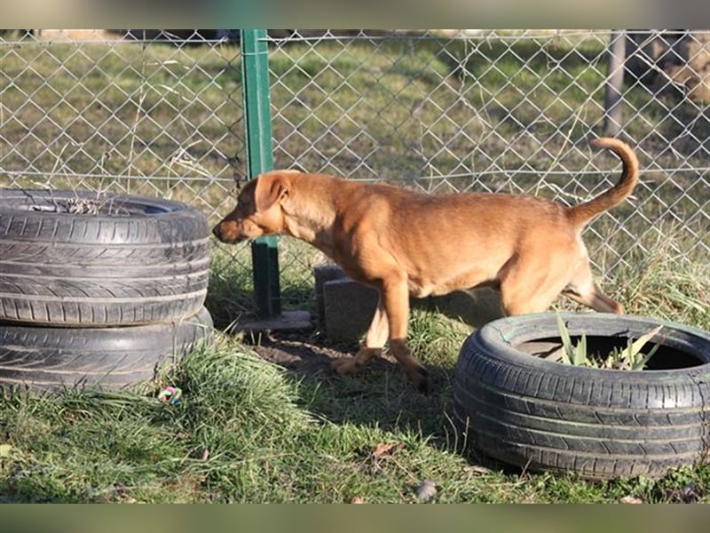 Jungspund Barni sucht eine Bleibe