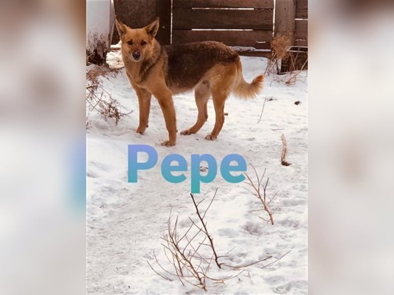 Pepe