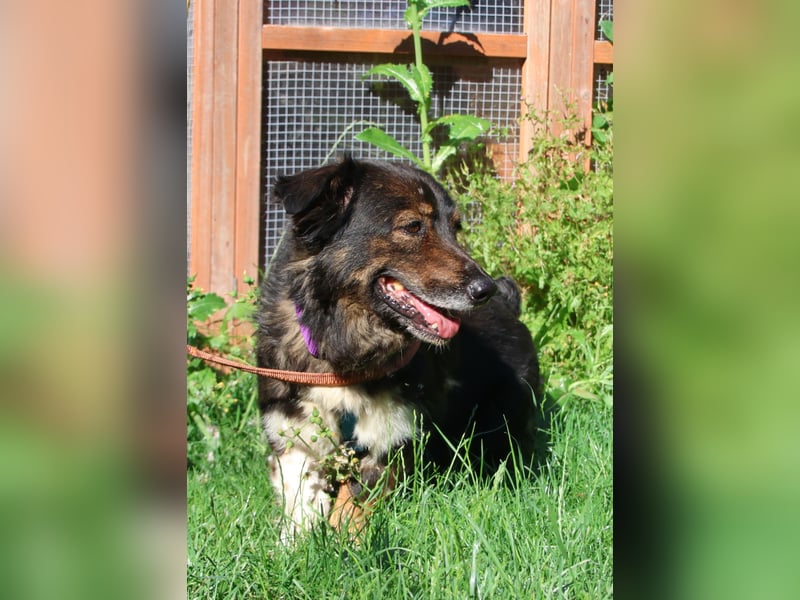 Franco 7-8 Jahre 32-33 cm