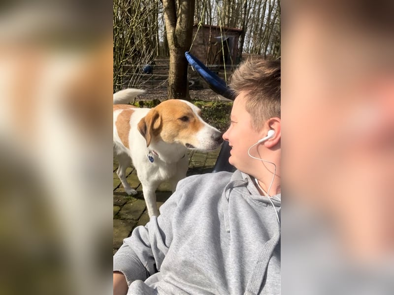 Toller Junghund sucht seine Menschen!