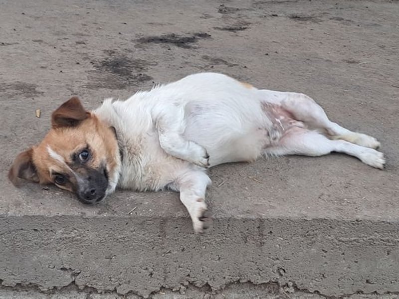 Kleiner Felix ( * 02.2023 ) sucht seine Familie