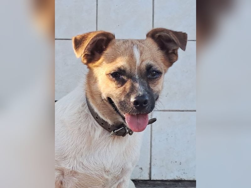 Kleiner Felix ( * 02.2023 ) sucht seine Familie