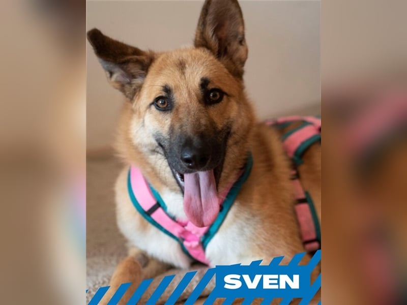 Sven