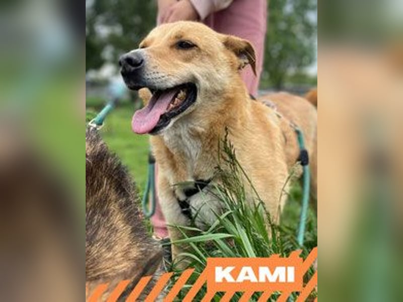 Kami