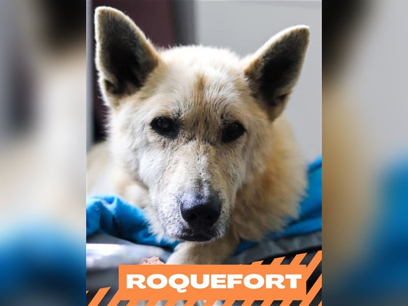 Roquefort
