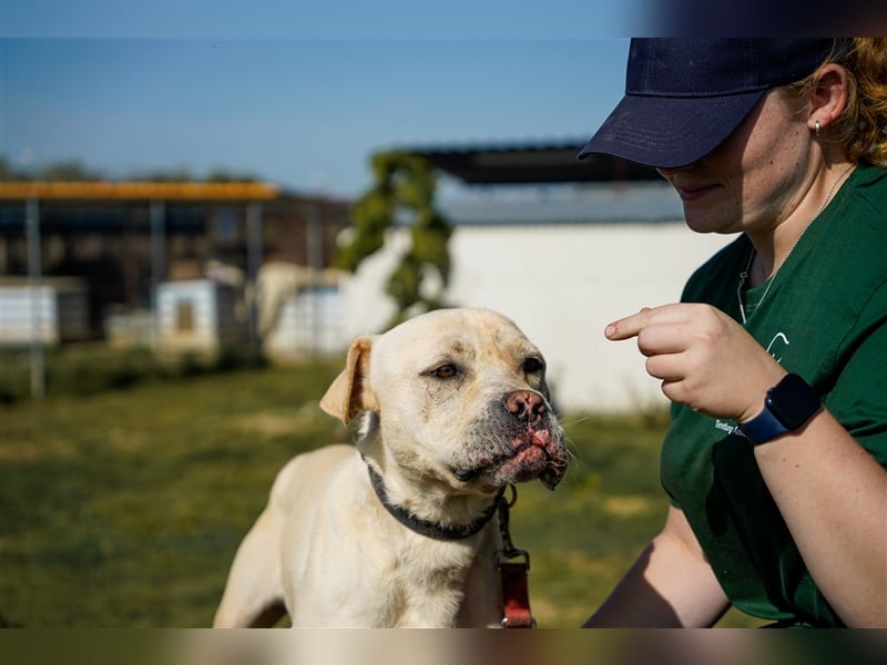Labanc sucht Ruhe in A/CH/NL/SWE