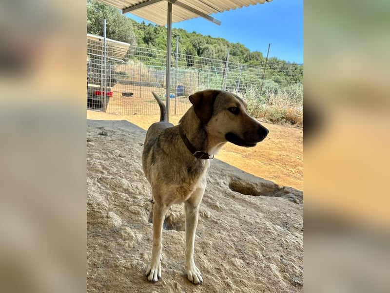 Murphy – er ist einfach ein richtig toller Kerl 