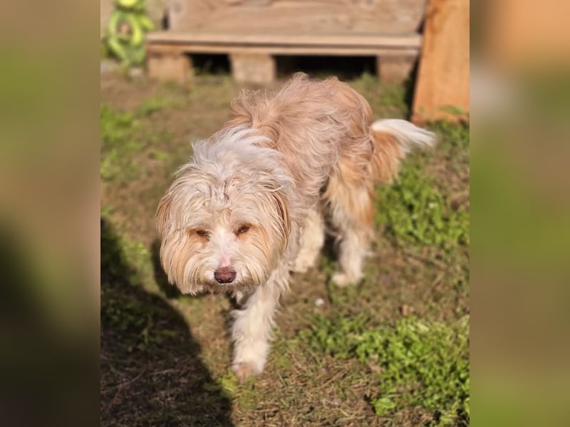 Bilbo sucht Traumzuhause!