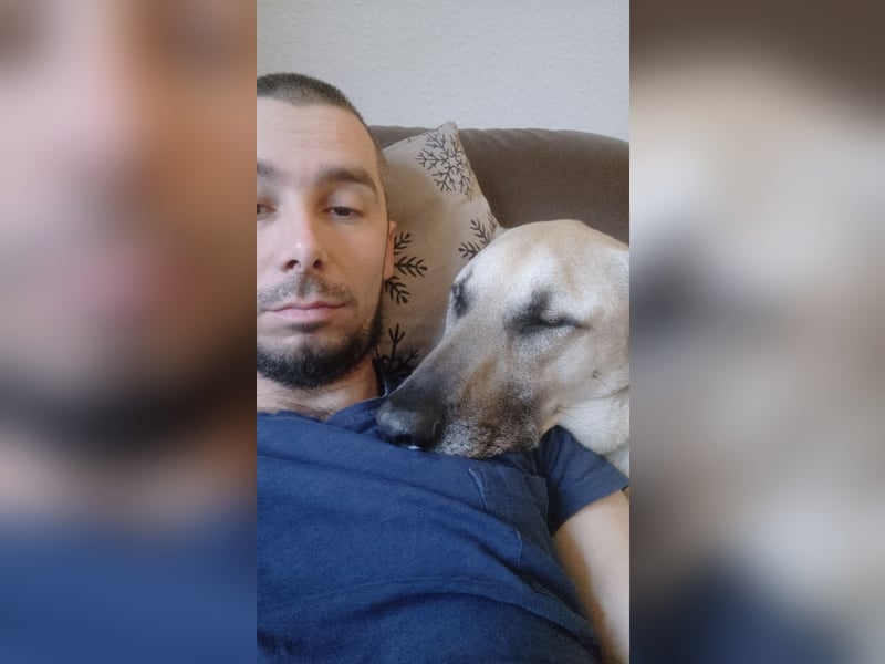Hallo ich bin Schäferhund Mischling Rudi