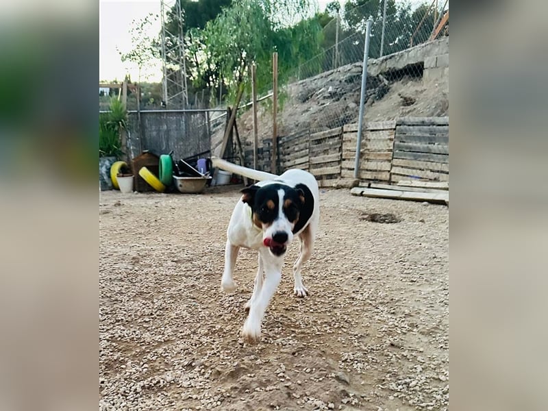 Tango