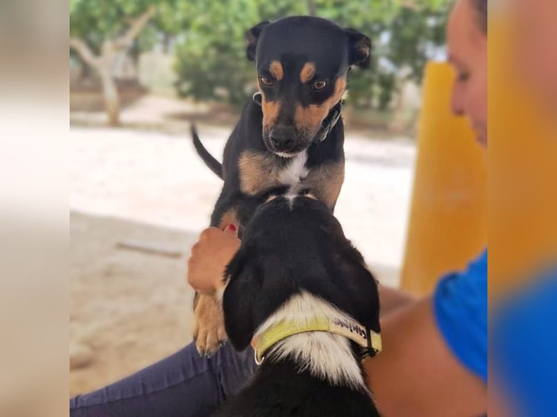 ❤️ KITO ❤️