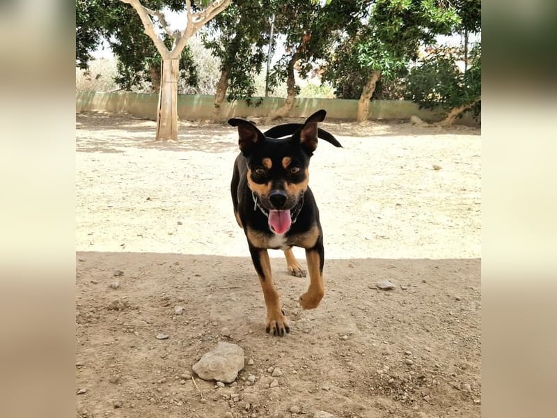 ❤️ KITO ❤️