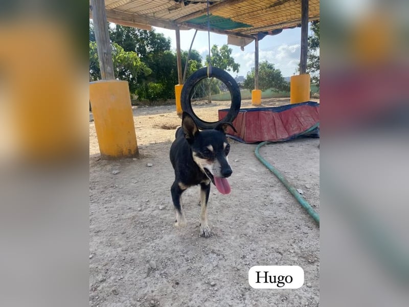 ❤️ HUGO ❤️
