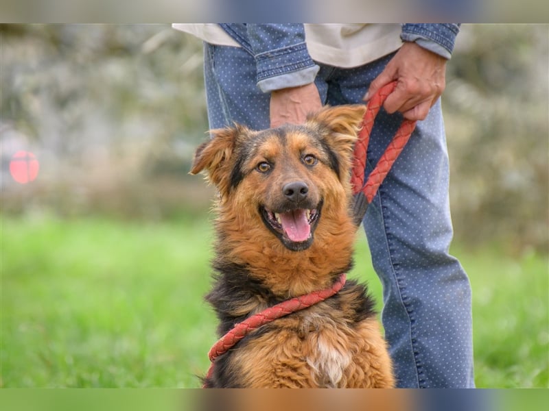 Duncan ( * 01.08.2023 ) sucht seine Familie