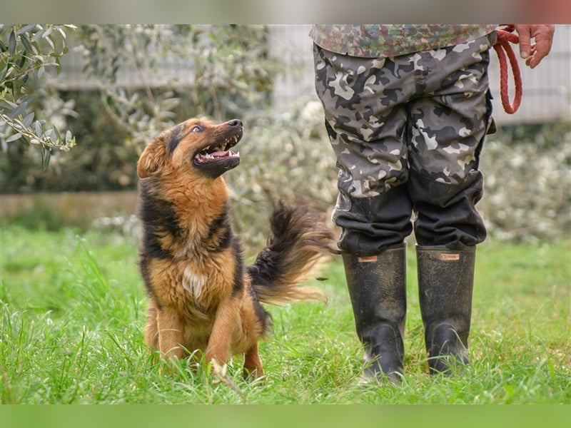 Duncan ( * 01.08.2023 ) sucht seine Familie