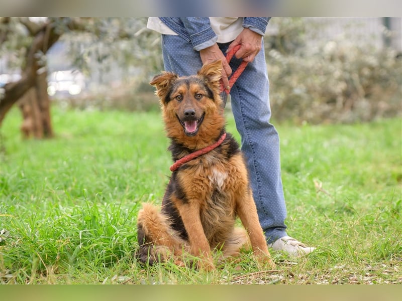 Duncan ( * 01.08.2023 ) sucht seine Familie