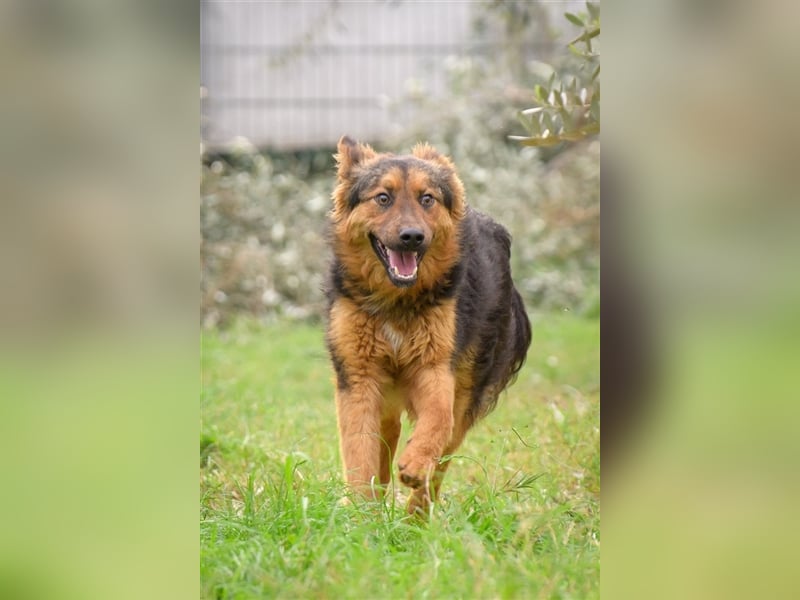 Duncan ( * 01.08.2023 ) sucht seine Familie