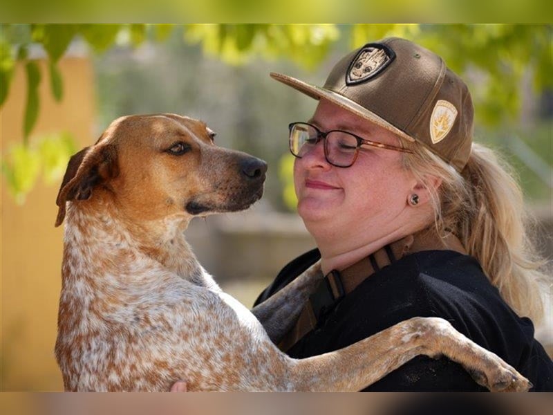 Traumhund Alex sucht sein Körbchen