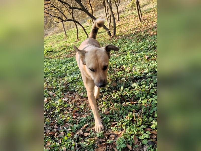 Max