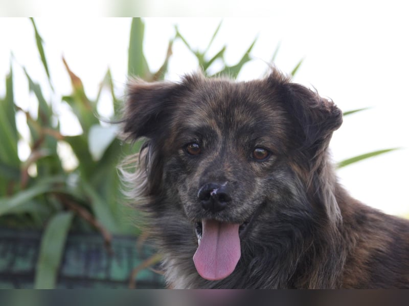 Maddox auf der Suche nach dem großen Glück