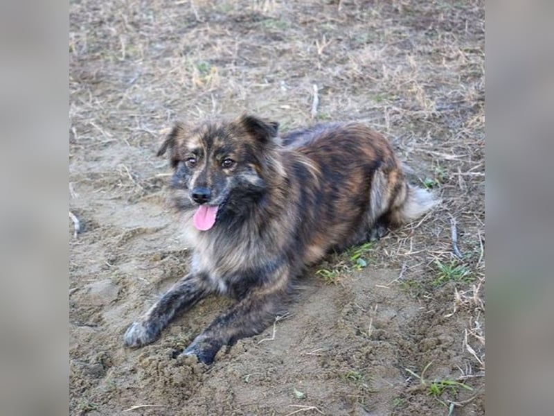 Maddox auf der Suche nach dem großen Glück