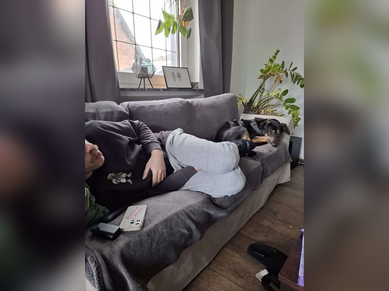 Rudy - ein besonderer Hund