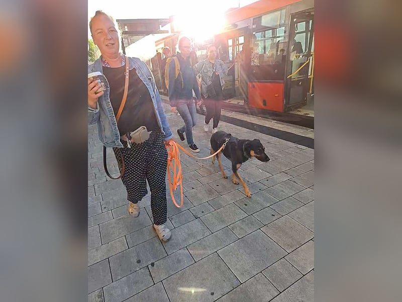Rudy - ein besonderer Hund