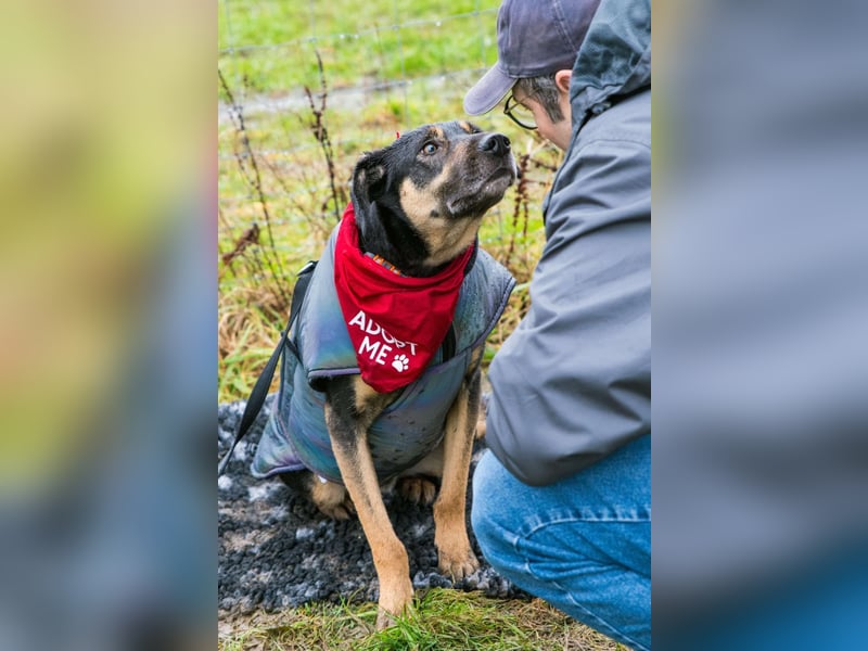 Rudy - ein besonderer Hund